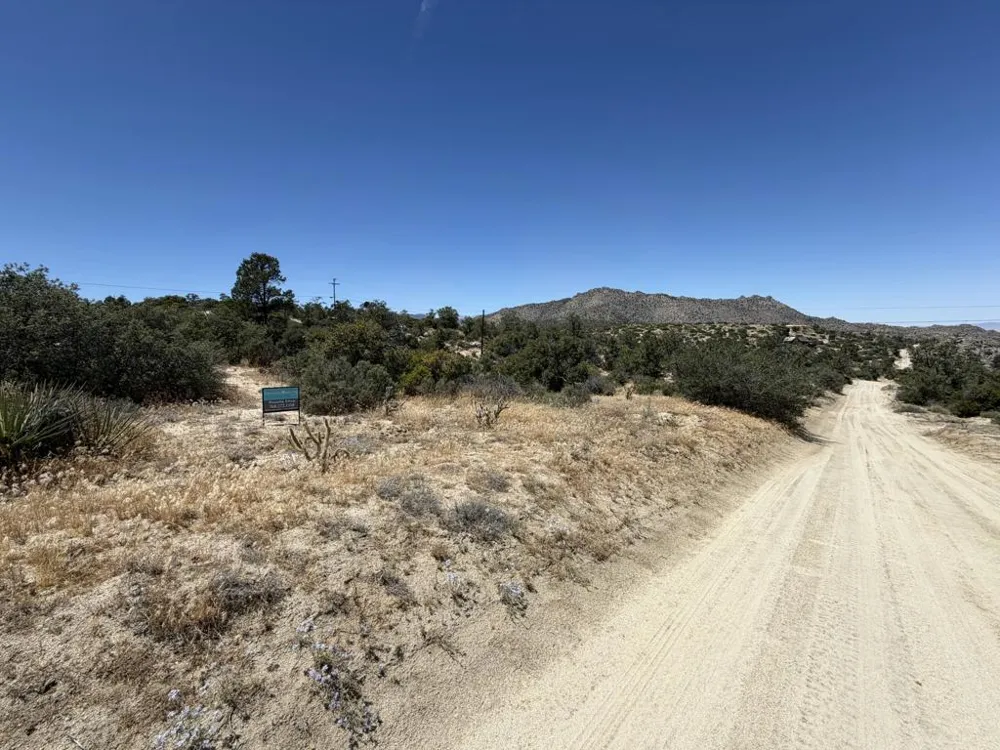 Scenic Drive Mountain Center, CA 92561