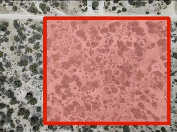 Scenic Drive Mountain Center, CA 92561