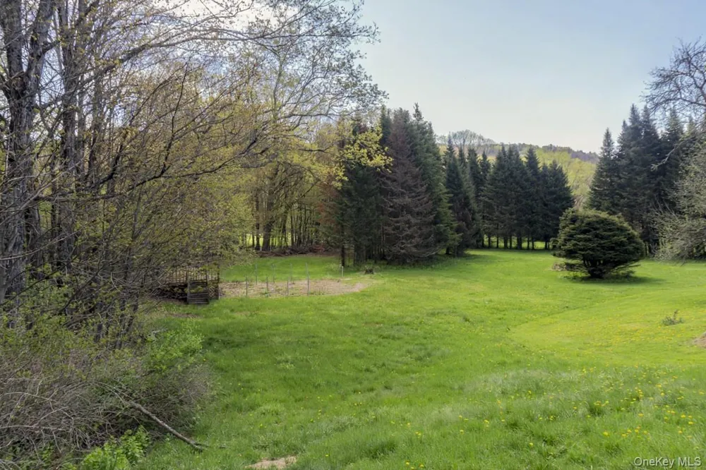 4109 State Route 52 Youngsville, NY 12791