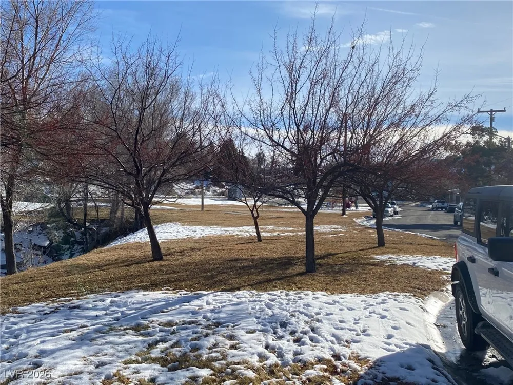 1 Carson Court Ely, NV 89301
