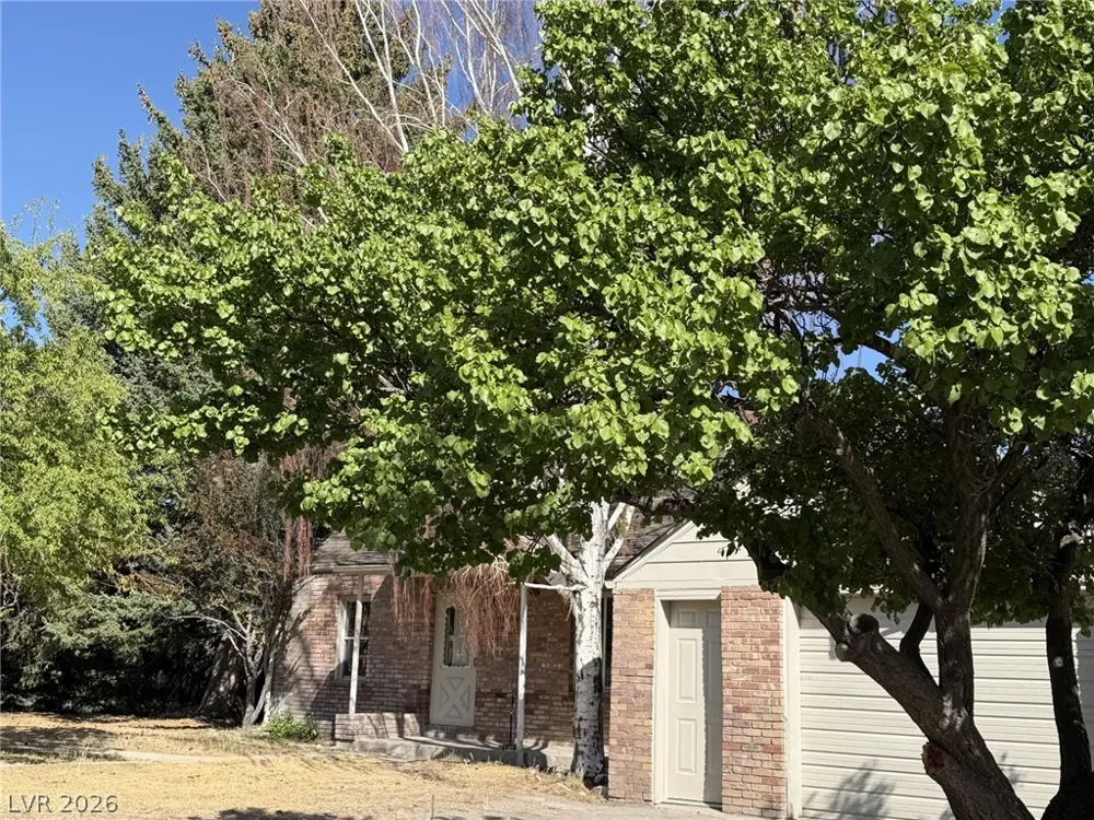 1 Carson Court Ely, NV 89301