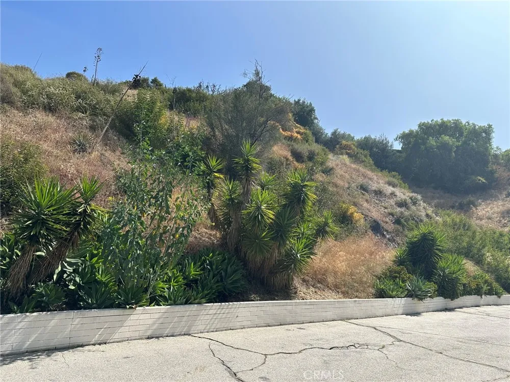 LOMA VISTA STREET Glendale, CA 91208