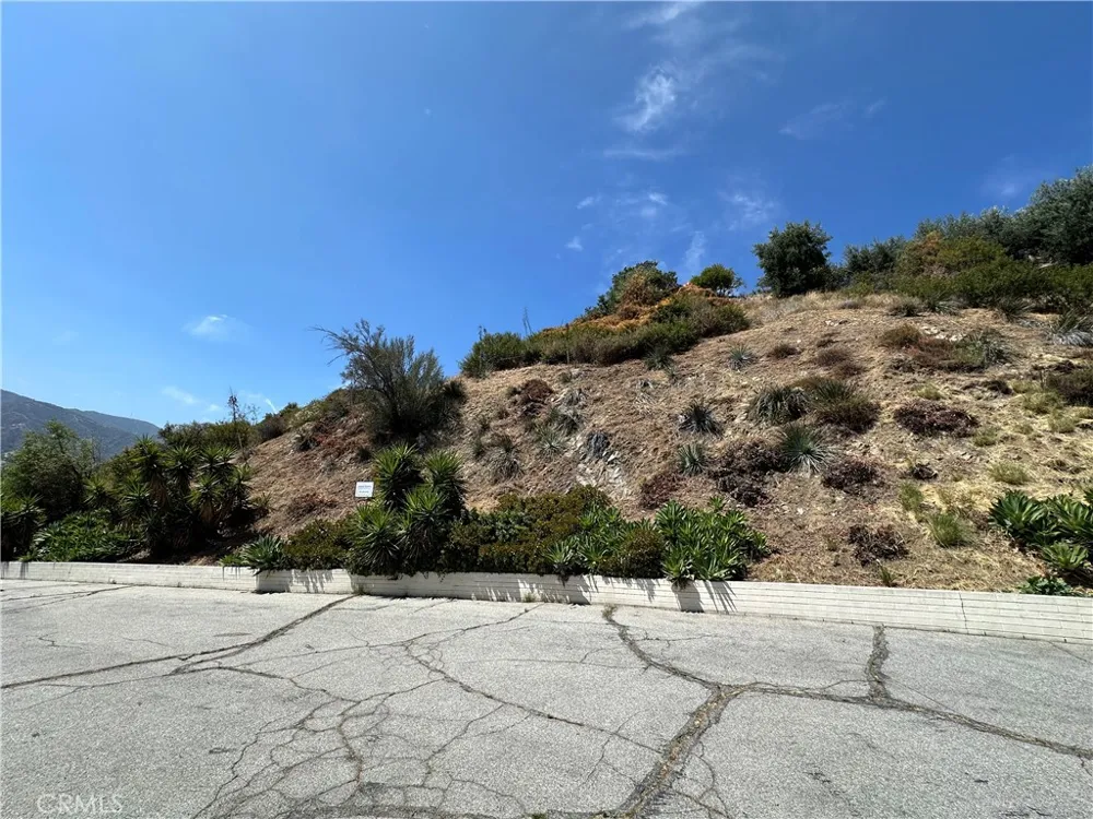 LOMA VISTA STREET Glendale, CA 91208