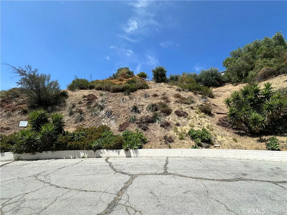 LOMA VISTA STREET Glendale, CA 91208