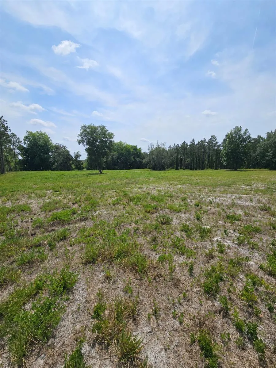 GENEVA WOODS COVE Geneva, FL 32732