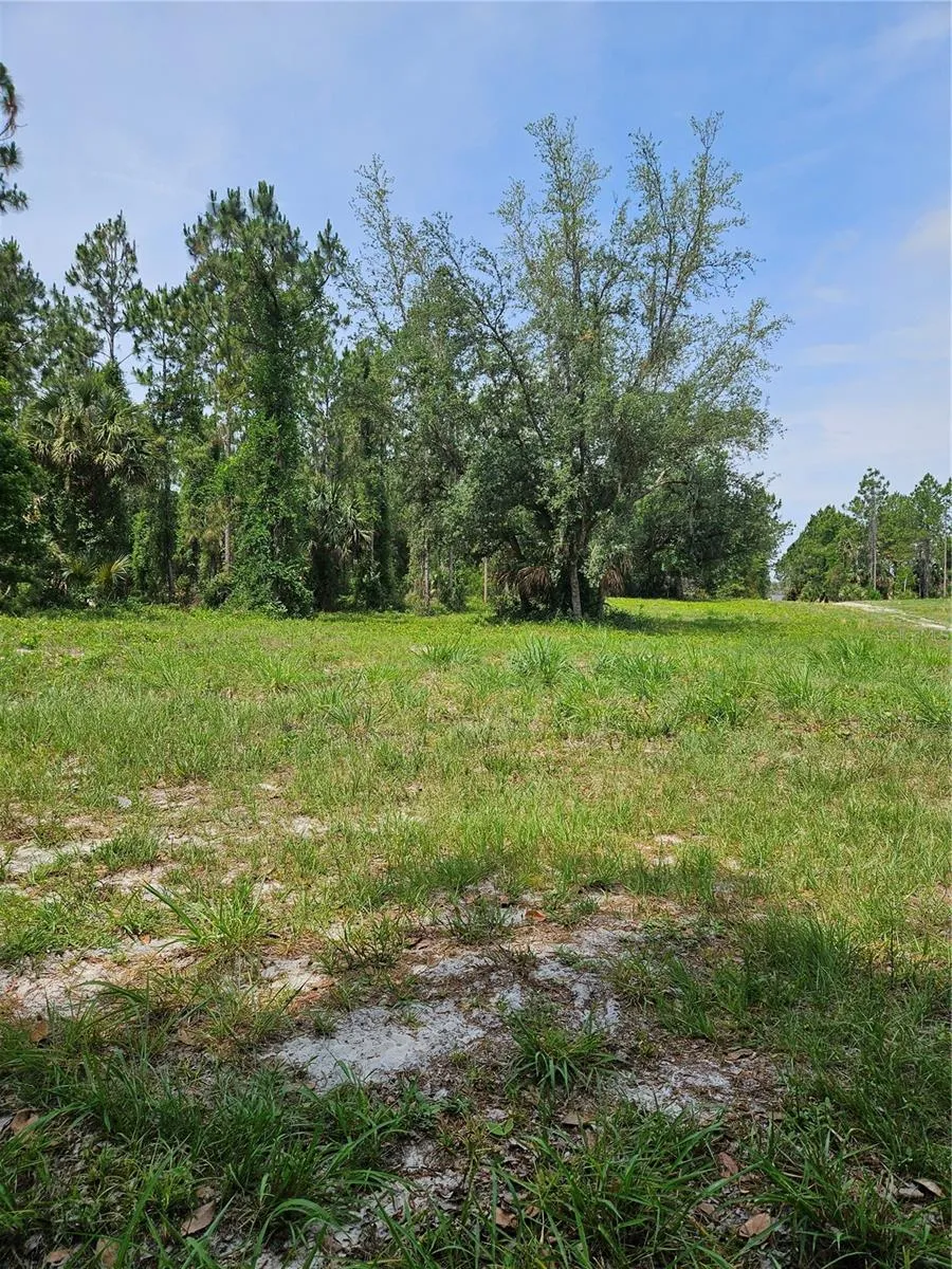 GENEVA WOODS COVE Geneva, FL 32732