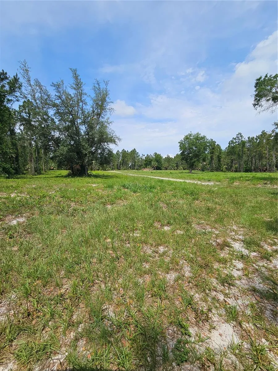 GENEVA WOODS COVE Geneva, FL 32732