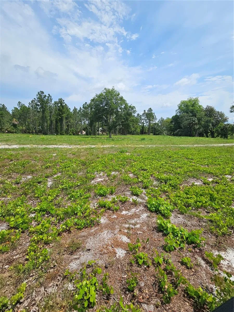 GENEVA WOODS COVE Geneva, FL 32732