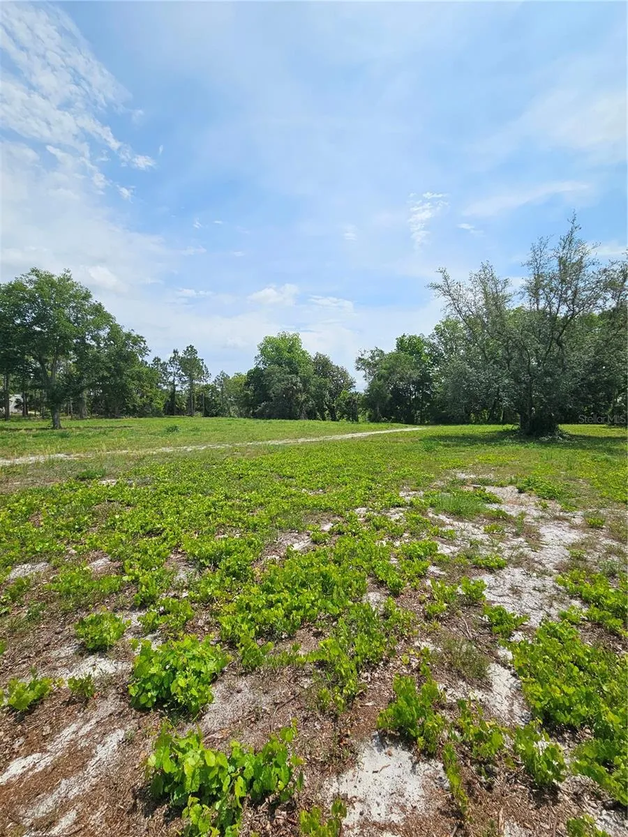GENEVA WOODS COVE Geneva, FL 32732