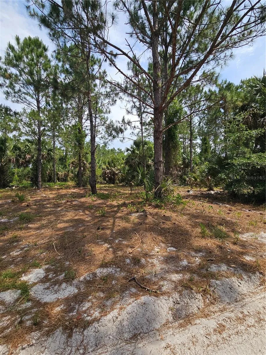 GENEVA WOODS COVE Geneva, FL 32732
