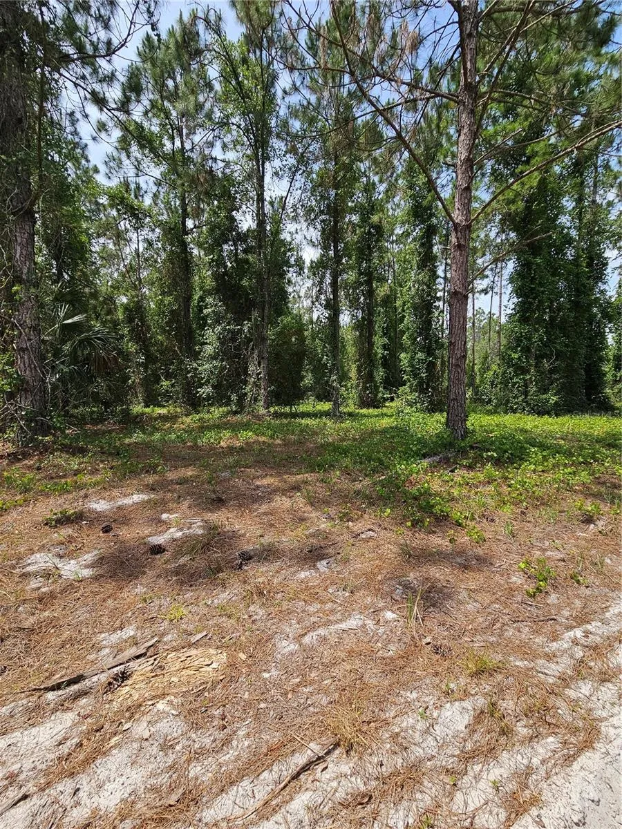 GENEVA WOODS COVE Geneva, FL 32732