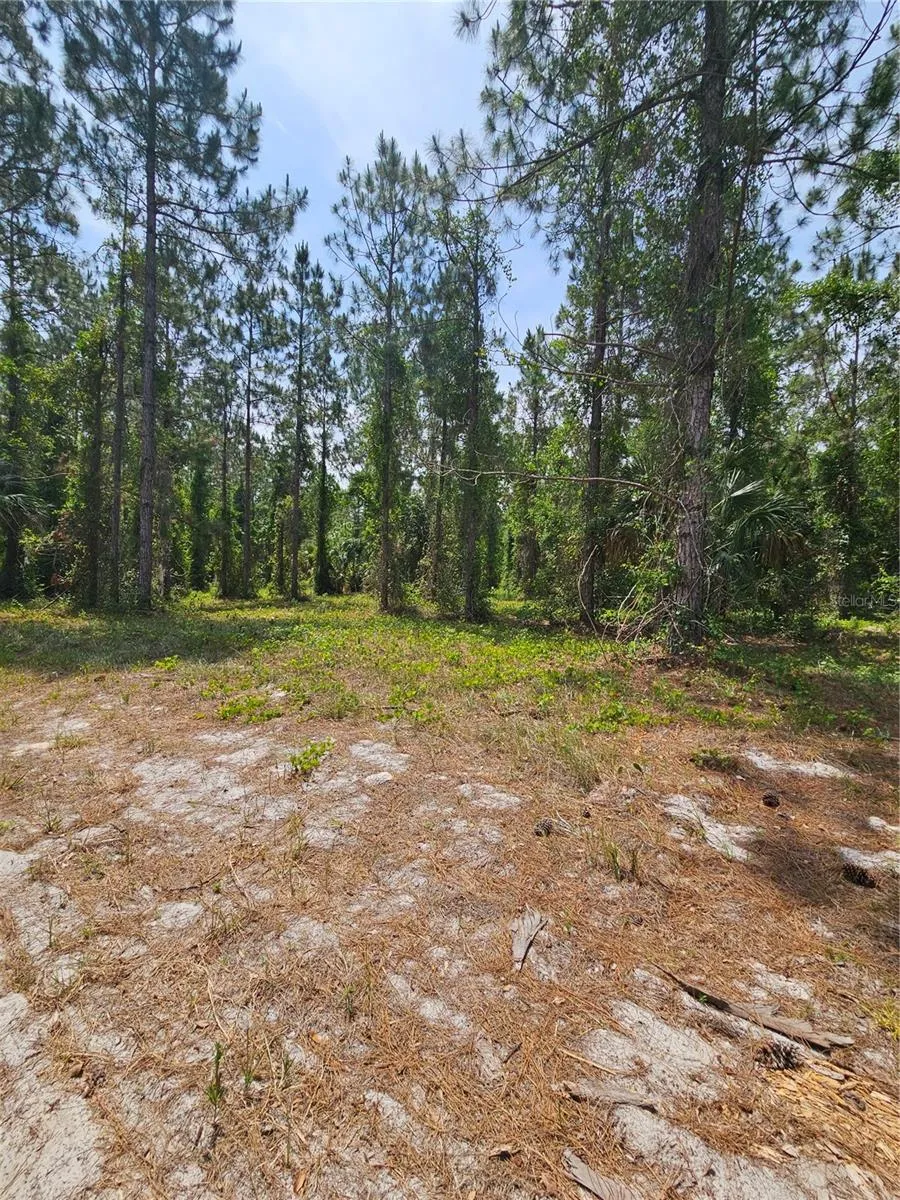 GENEVA WOODS COVE Geneva, FL 32732