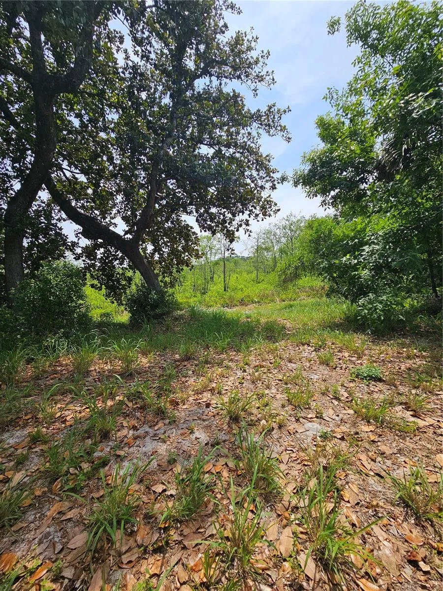 GENEVA WOODS COVE Geneva, FL 32732