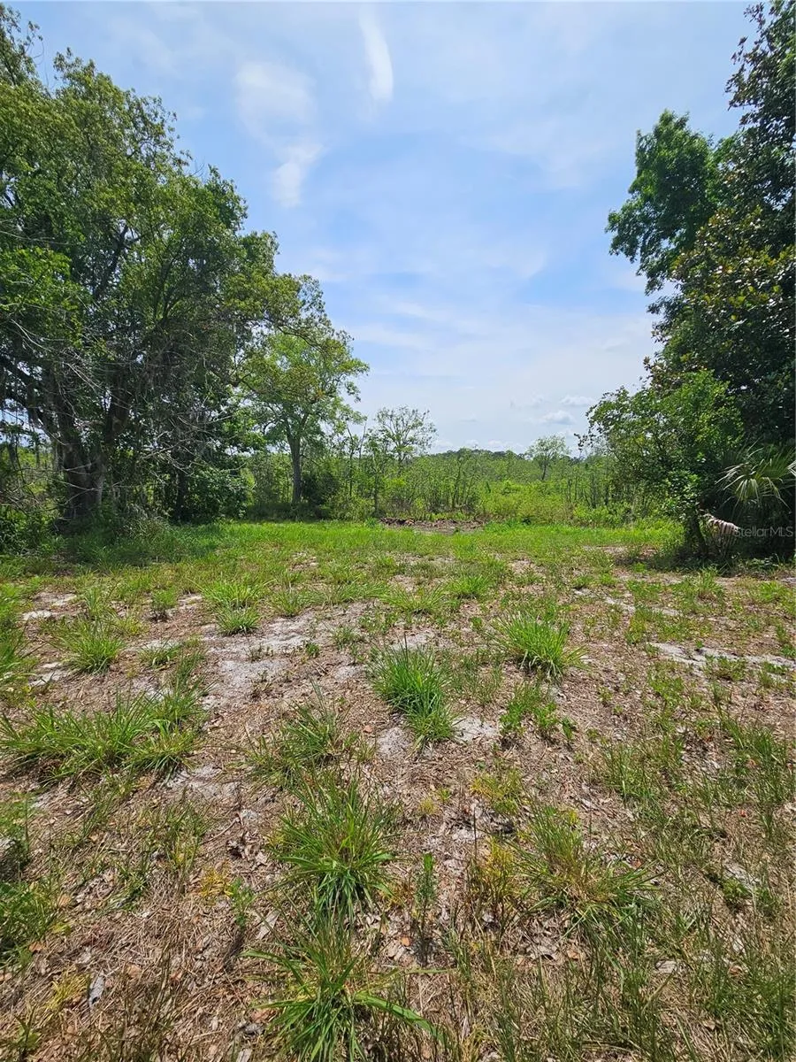 GENEVA WOODS COVE Geneva, FL 32732