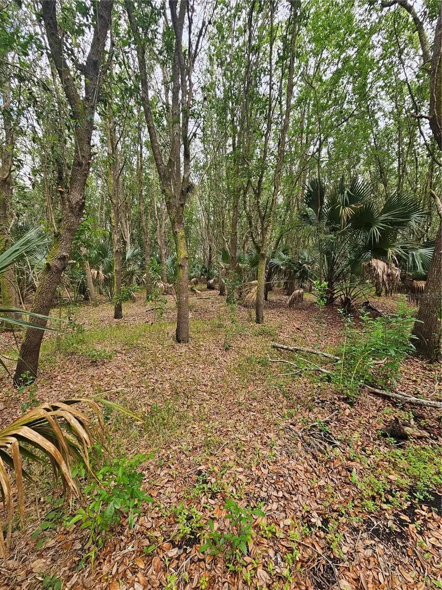 601 HOWARD AVENUE Oviedo, FL 32765