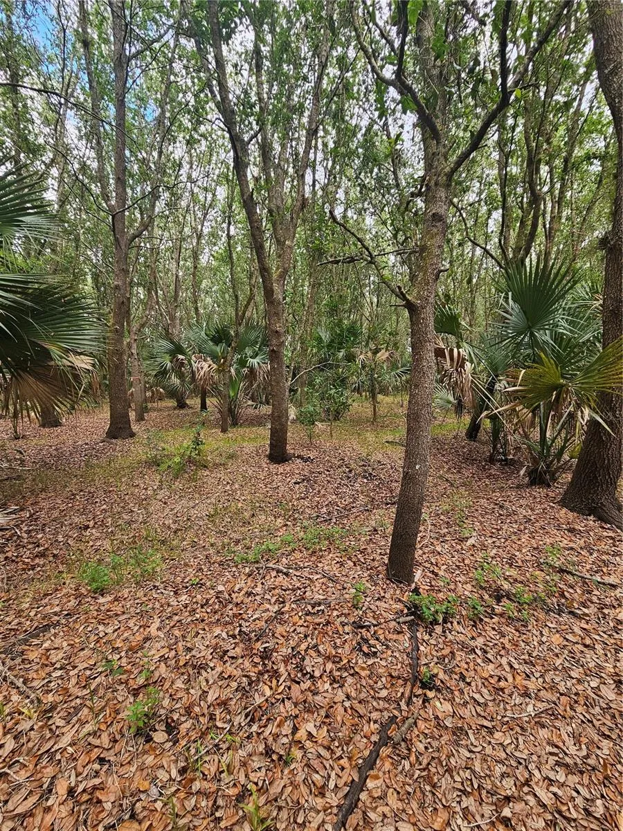 601 HOWARD AVENUE Oviedo, FL 32765