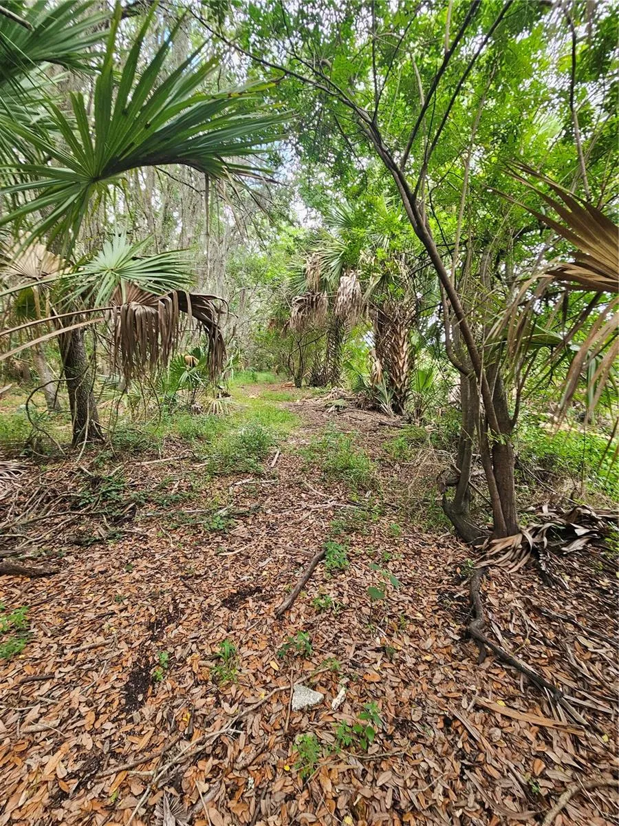 601 HOWARD AVENUE Oviedo, FL 32765