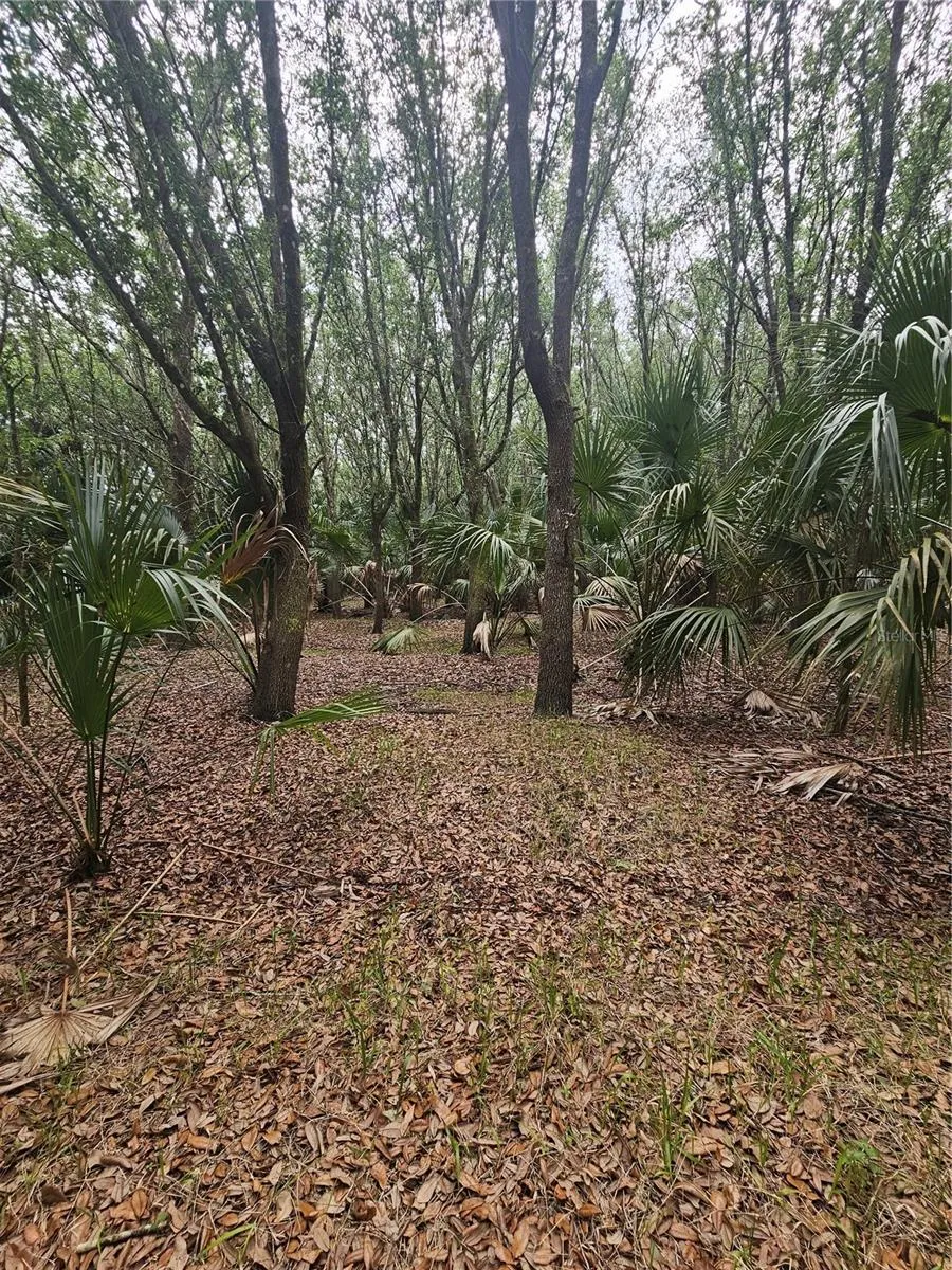 601 HOWARD AVENUE Oviedo, FL 32765