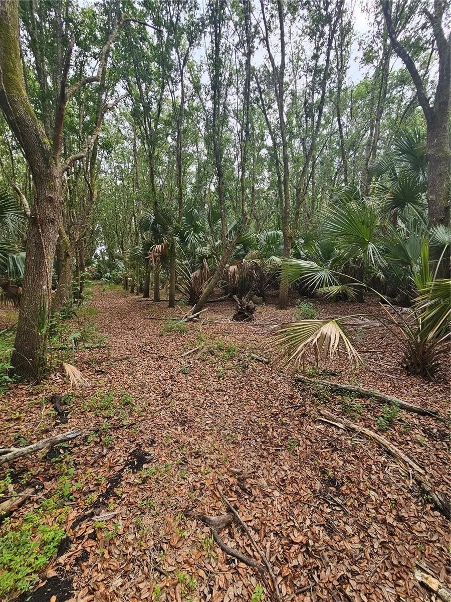 601 HOWARD AVENUE Oviedo, FL 32765