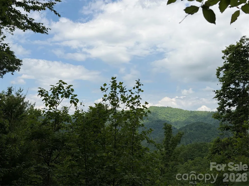 408 Arvil Gosnell Road Marshall, NC 28753