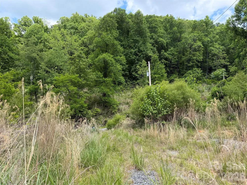408 Arvil Gosnell Road Marshall, NC 28753
