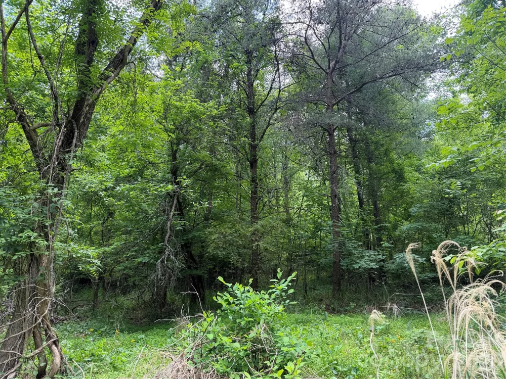 408 Arvil Gosnell Road Marshall, NC 28753