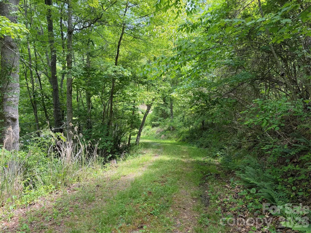 408 Arvil Gosnell Road Marshall, NC 28753