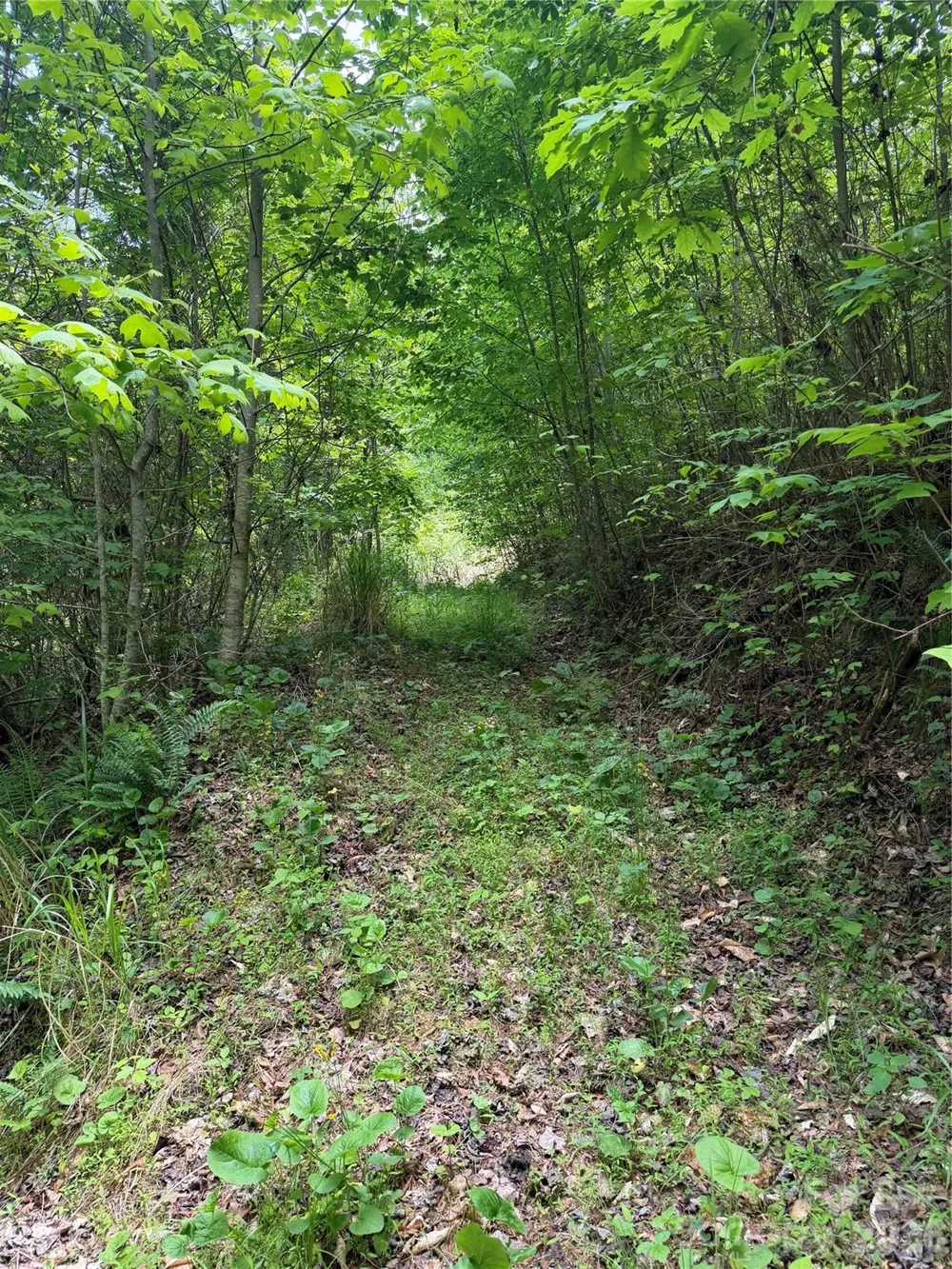 408 Arvil Gosnell Road Marshall, NC 28753