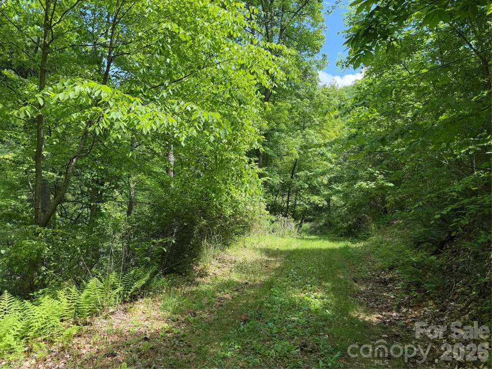 408 Arvil Gosnell Road Marshall, NC 28753