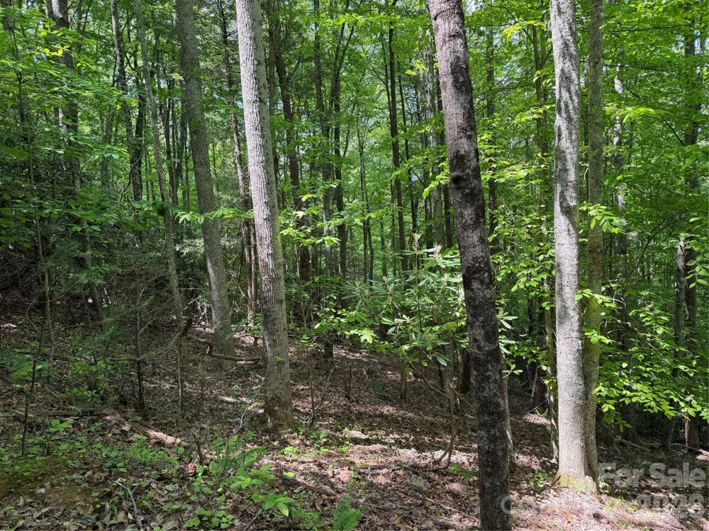 408 Arvil Gosnell Road Marshall, NC 28753