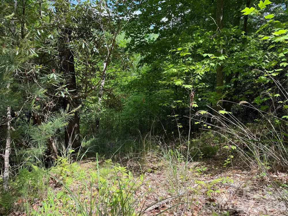 408 Arvil Gosnell Road Marshall, NC 28753