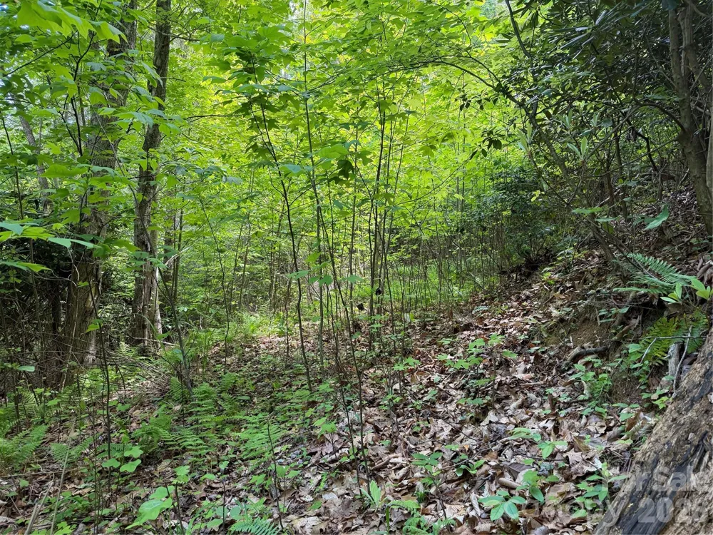 408 Arvil Gosnell Road Marshall, NC 28753