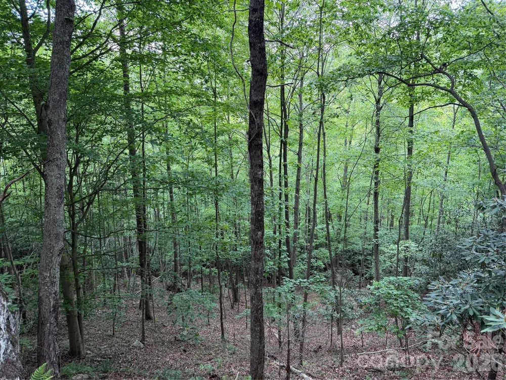 408 Arvil Gosnell Road Marshall, NC 28753