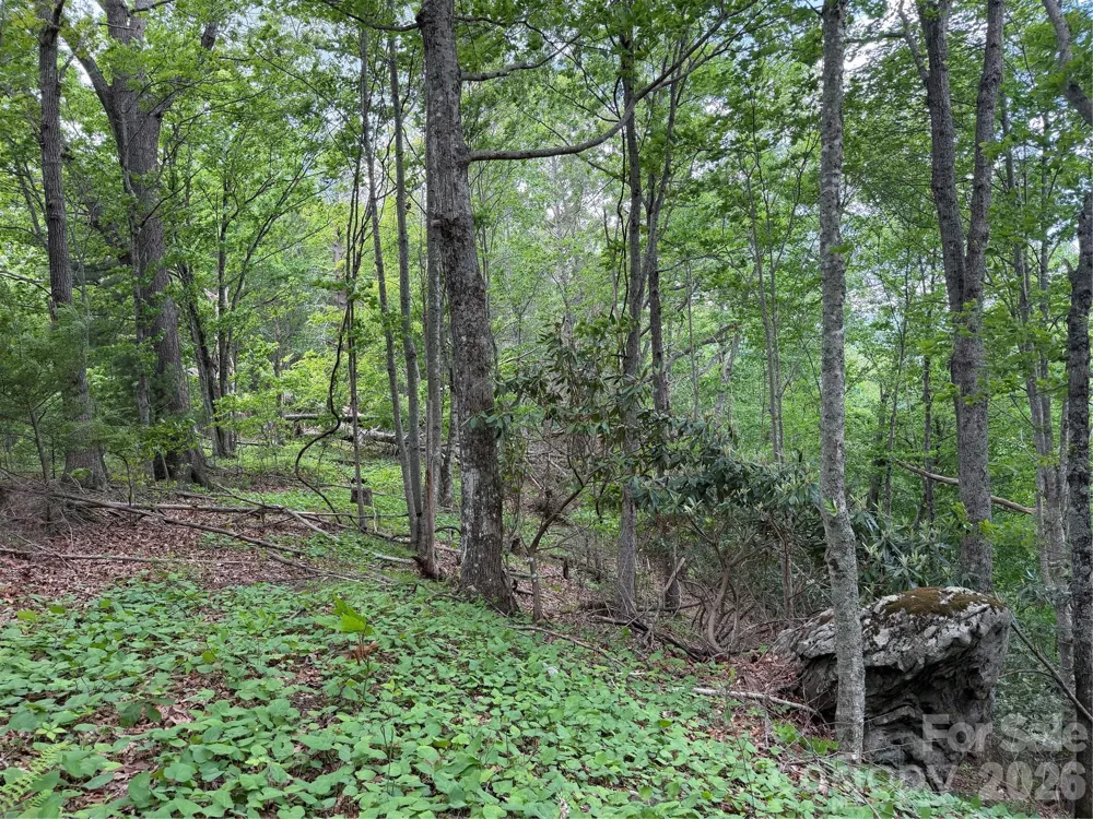 408 Arvil Gosnell Road Marshall, NC 28753