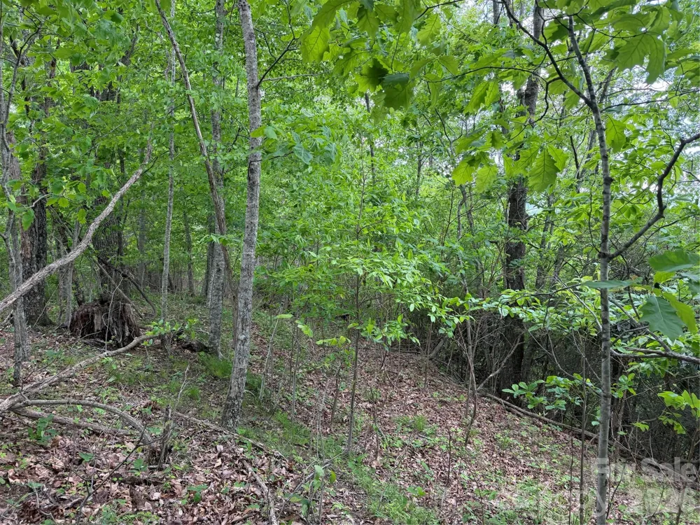 408 Arvil Gosnell Road Marshall, NC 28753