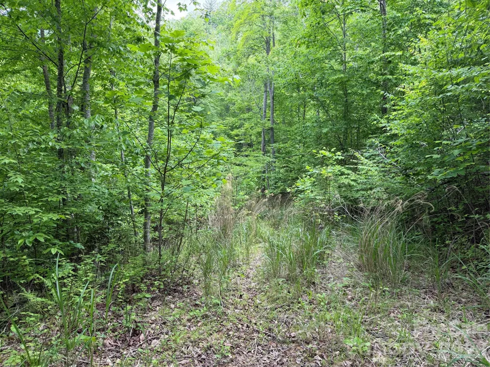 408 Arvil Gosnell Road Marshall, NC 28753