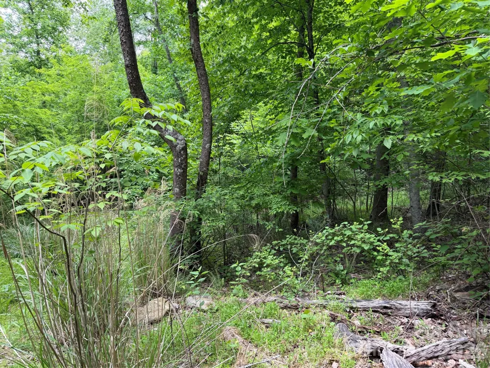 408 Arvil Gosnell Road Marshall, NC 28753