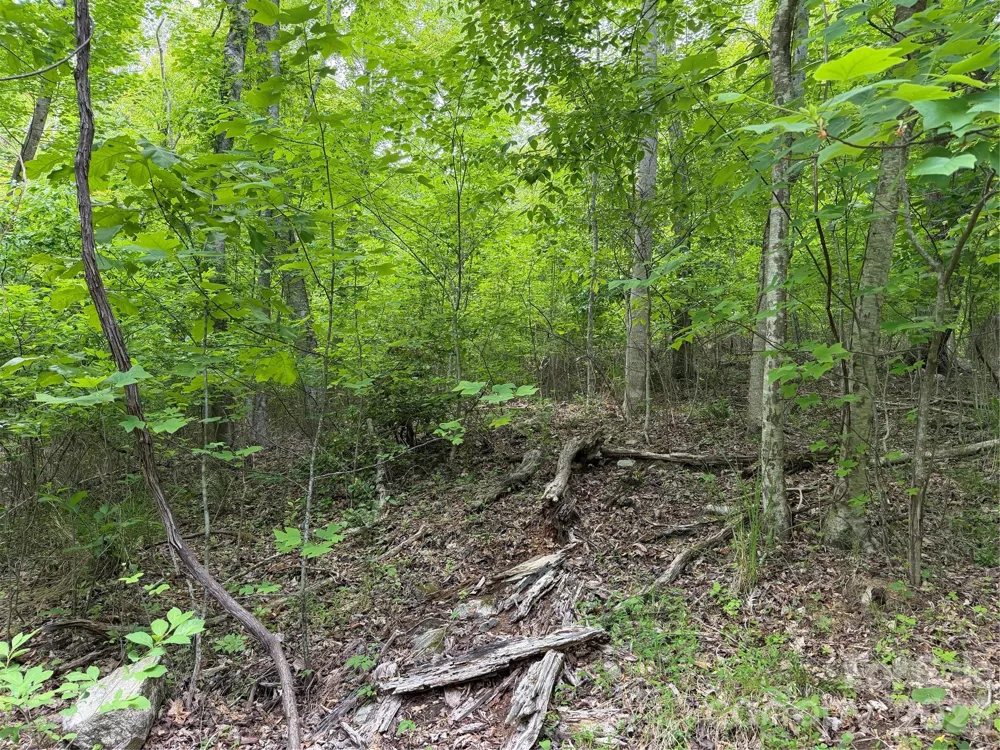 408 Arvil Gosnell Road Marshall, NC 28753