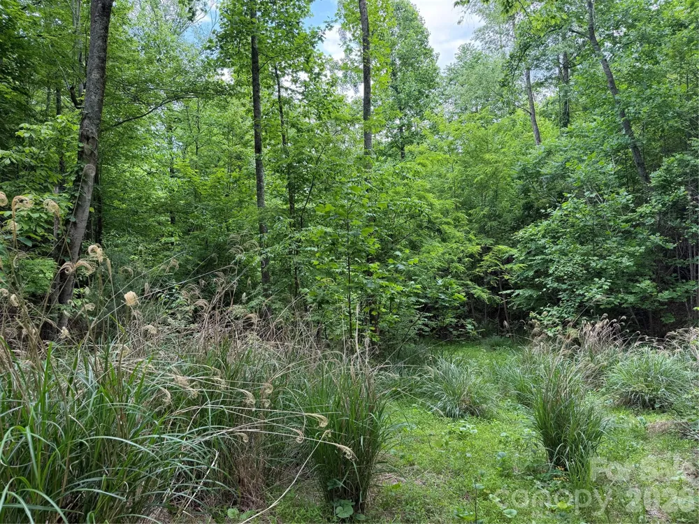 408 Arvil Gosnell Road Marshall, NC 28753