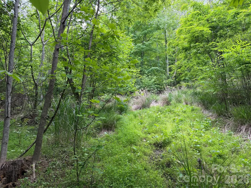 408 Arvil Gosnell Road Marshall, NC 28753