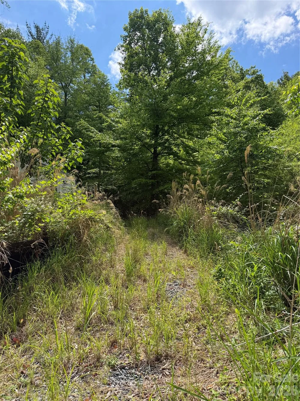 408 Arvil Gosnell Road Marshall, NC 28753