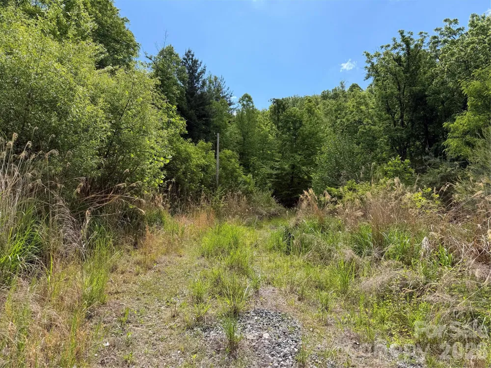 408 Arvil Gosnell Road Marshall, NC 28753