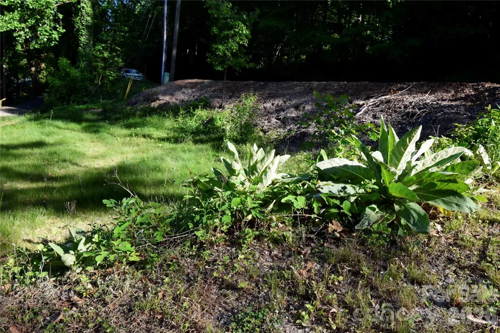 539 Bailey Road Asheville, NC 28806