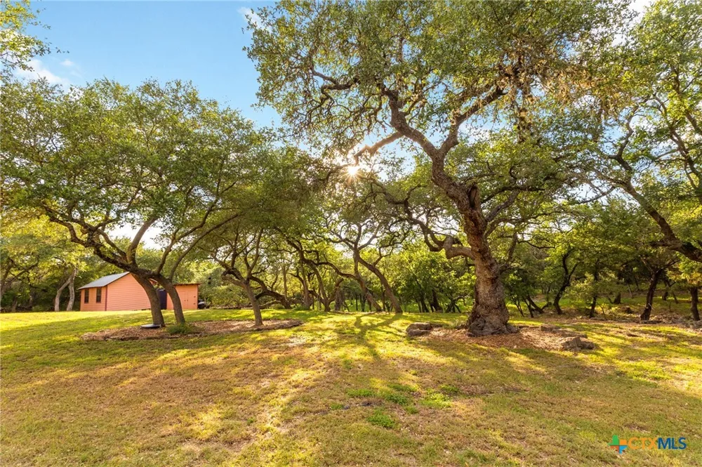246 Stonebrook Ridge New Braunfels, TX 78132