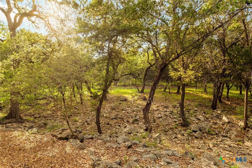 246 Stonebrook Ridge New Braunfels, TX 78132