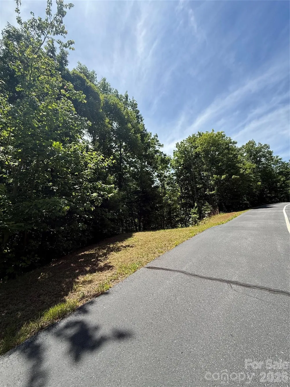 85 Adirondack Lane #85 Bostic, NC 28018