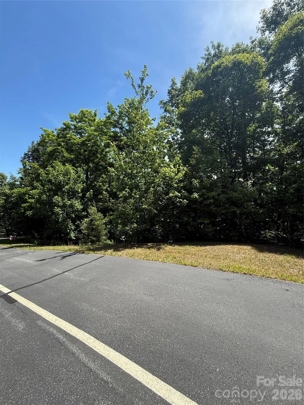 85 Adirondack Lane #85 Bostic, NC 28018