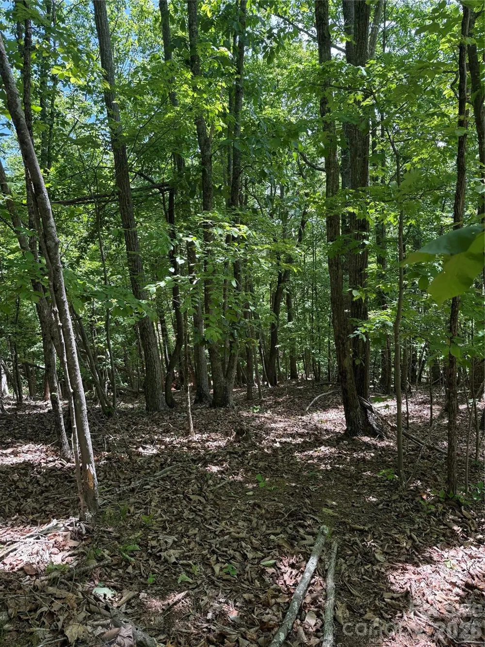 85 Adirondack Lane #85 Bostic, NC 28018