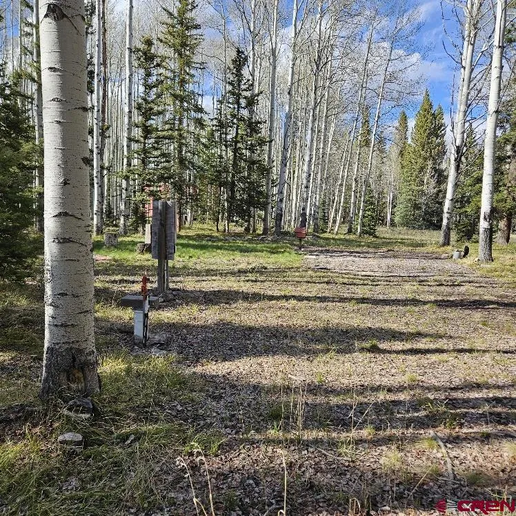 322 Spruce Road Cimarron, CO 81220