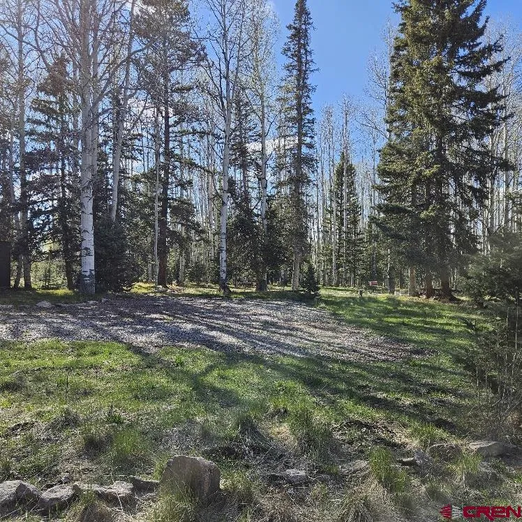 322 Spruce Road Cimarron, CO 81220